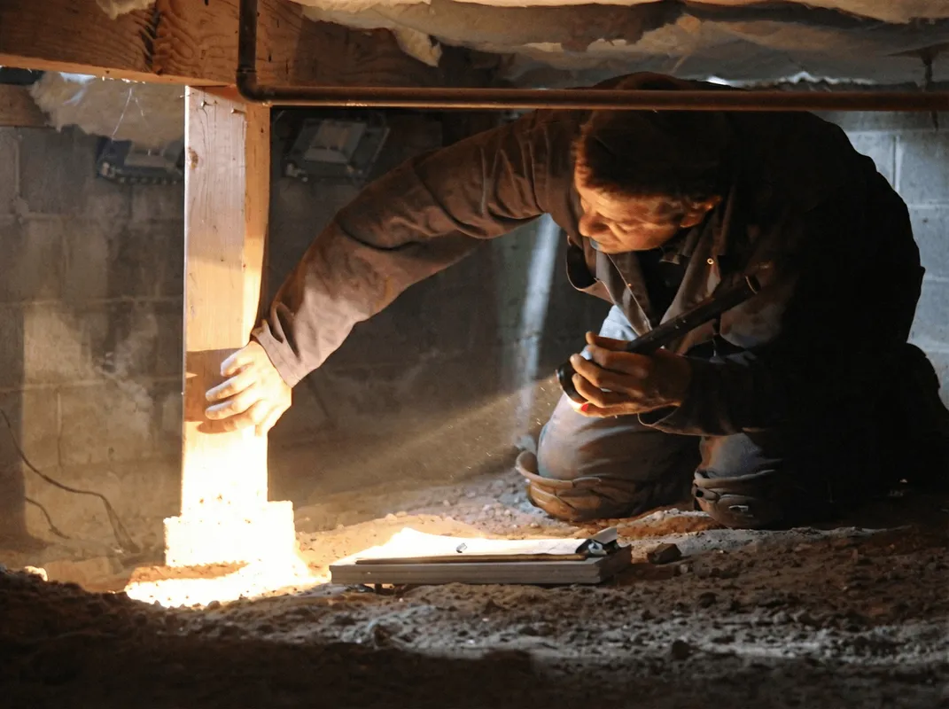A professional inspecting wooden beams under the floor of a structure in South Bend, IN